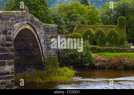 Pont Fawr, una in pietra del XVII secolo detto ponte è stato progettato da Inigo Jones, oltre il Fiume Conwy verso una coperta di edera fi Foto Stock