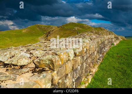 Un ben conservato tratto del Muro di Adriano passando lungo Caw divario nel Parco nazionale di Northumberland. Foto Stock