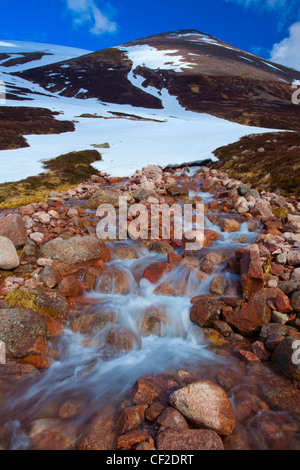 Ruscello di montagna ai piedi del Ben Macdui, la seconda montagna più alta nel Regno Unito. Foto Stock