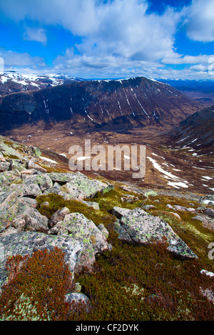 Guardando verso il basso sul fiume Dee e Lairig Ghru da Coire Odhar nel Parco Nazionale di Cairngorms. Foto Stock