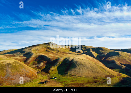 Vista della collina di agnello in Cheviot Hills, parte del Parco nazionale di Northumberland. Foto Stock