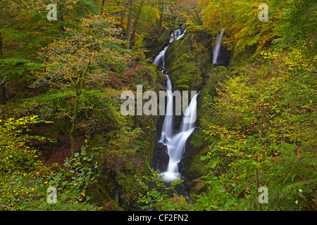 Magazzino Ghyll vigore, una spettacolare 70 piedi cascata in autunno. Foto Stock