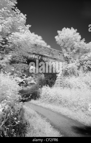 Pressione atmosferica in bianco e nero immagine di un ponte di pietra e il bosco in Holywell Dene vicino al confine di Northumberland. Foto Stock