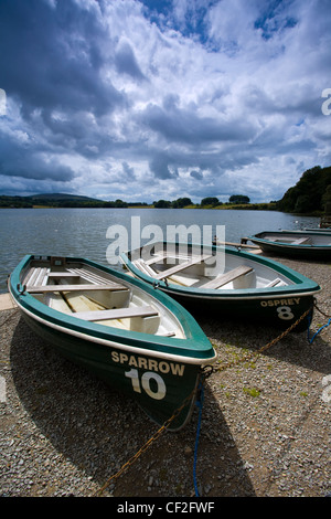 Barche a remi sulla riva del Talkin Tarn vicino a Carlisle. Foto Stock