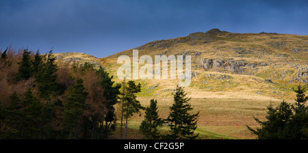 Guardando verso la collina Dunmoor da Linhope nella valle Breamish vicino Ingram nel Parco nazionale di Northumberland. Foto Stock