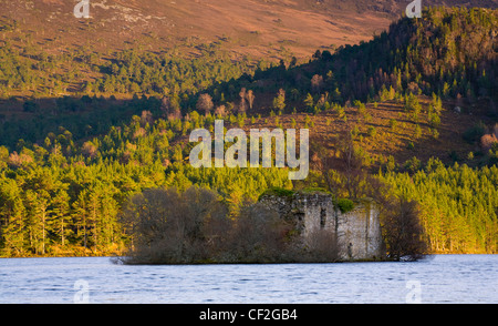 Le rovine di Loch un Eilein Castello nel Parco Nazionale di Cairngorms, circondato dalla foresta di Caledonian del Rothiemurchus Est Foto Stock