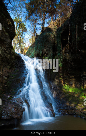 Hareshaw Linn è una spettacolare cascata che si trova in una ripida gola unilaterale, che continua a fluire attraverso una valle boscosa. Haresh Foto Stock