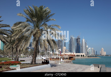 Palme della Corniche a Doha downtown district, Al Dafna, in Qatar. Foto Stock