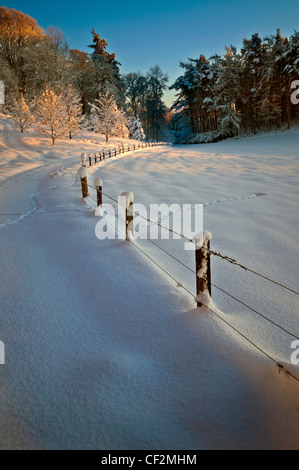 Neve pesante su terreni agricoli in Scottish Borders. Foto Stock