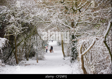 La gente in giro con i loro cani lungo una coperta di neve percorso boschivo. Foto Stock