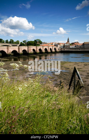 Berwick Bridge, conosciuto anche come il Ponte Vecchio, un grado che ho elencato il ponte di pietra costruito tra il 1611 e il 1624 che attraversano il fiume Tweed. Foto Stock