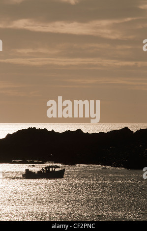 Una piccola barca da pesca avvicinando l'ingresso al porto di pesca al Berwickshire città costiera di Banbury. Foto Stock