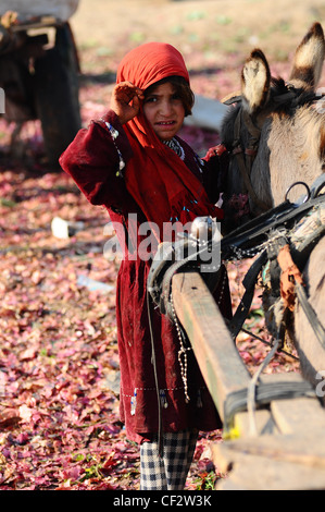 Una piccola ragazza che lavora in subzi mandi (mercato ortofrutticolo) con il suo asino a Islamabad, Pakistan Foto Stock