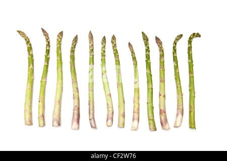 Gli asparagi spears isolato su un bianco di sfondo per studio. Foto Stock