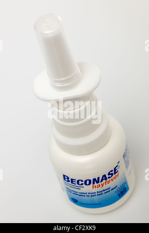 Beconase hayfever spray nasale Foto Stock