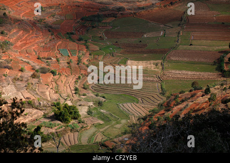 Vista di riso paddy's e i campi di Ambohimanga, Madagascar. Foto Stock