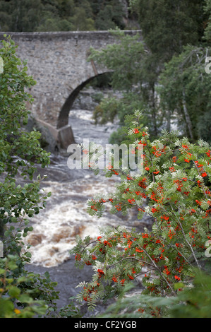 Dulcie ponte sopra il fiume Findhorn, costruita sotto la direzione del maresciallo di campo George Wade che era responsabile per la costruzione Foto Stock