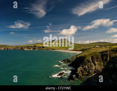 Whitesands Bay e Carn Llidi su Il Pembrokeshire Coast path vicino a St Davids Foto Stock