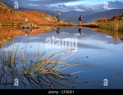 Walkers passando stagno vicino Lily Tarn su Loughrigg cadde nel distretto del Lago Foto Stock