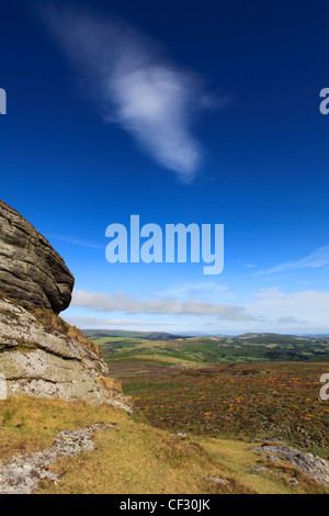 Estate, Haytor giù, Haytor Rocks, Parco Nazionale di Dartmoor, della Contea di Devon, Inghilterra, Regno Unito Foto Stock