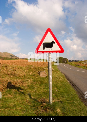 Un triangolo rosso cartello segnaletico dal lato di una strada che avverte che le pecore possono essere in strada. Foto Stock