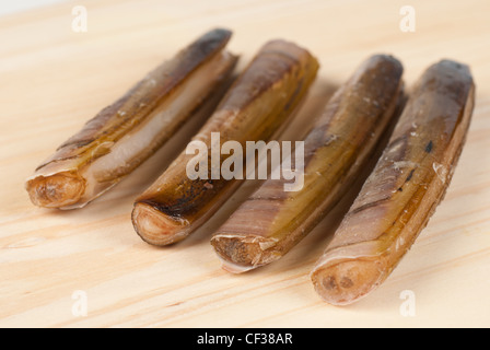 Freschi cannolicchi nel loro guscio su una tavola di legno Foto Stock