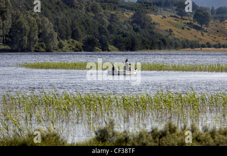 Una vista attraverso le lamelle per un pescatore a mosca sul Loch Pityoulish. Foto Stock