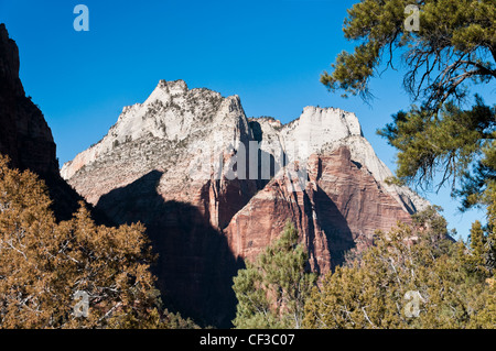 Corte dei patriarchi segno interpretativa, Parco Nazionale Zion, Utah. Foto Stock