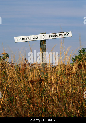 Fingerpost su una sezione del modo Peddars lunga distanza sentiero ne del King's Lynn. La National Trail a seguito di un ex prehistor Foto Stock