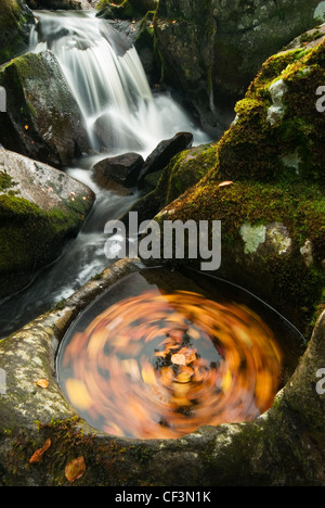 Foglie di autunno swirl in una piscina di acqua nei pressi di una cascata di seguito Watendlath Tarn. Foto Stock