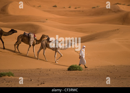Un uomo nel tradizionale abito berbero conduce un cammello treno attraverso le dune dell'Erg Chebi deserto vicino a Merzouga. Foto Stock