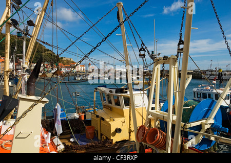 Barche da pesca ormeggiate in Scarborough Porto Interno. Foto Stock