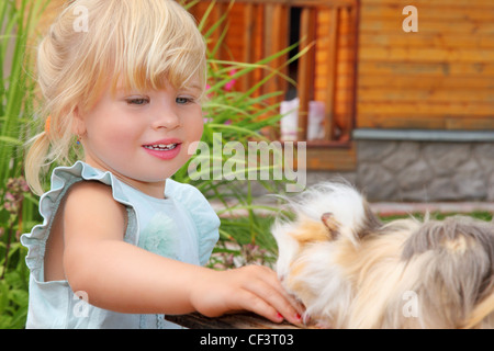 Bambina alimenta la cavia nel cortile vicino a casa Foto Stock