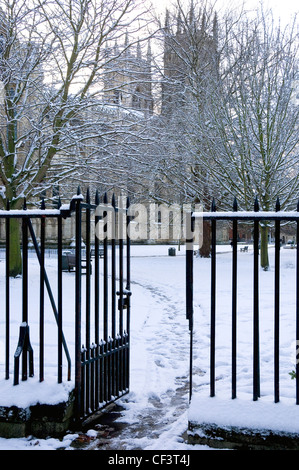 Una vista verso York Minster oltre la coperta di neve la massa dei presidi Park. Foto Stock