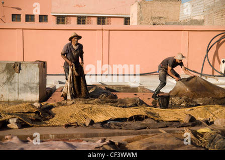 Uomini al lavoro in conceria a Marrakesh. Foto Stock