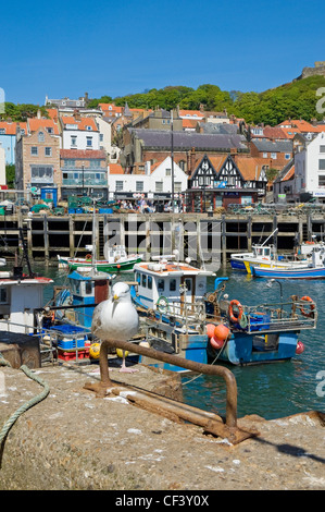 Un gabbiano in piedi sul molo a Scarborough Harbour. Foto Stock