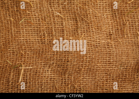 La texture ad alta risoluzione di colore marrone della stoffa comune. Close up. Formato orizzontale. Foto Stock