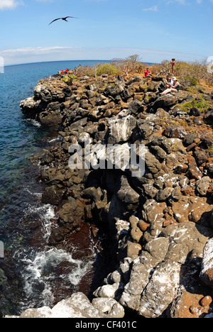 I turisti a guardare gli uccelli sulla North Seymour Island, Isole Galapagos, Ecuador Foto Stock