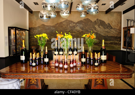 Simonsig Wine Estate, Stellenbosch, Western Cape, Sud Africa Foto Stock