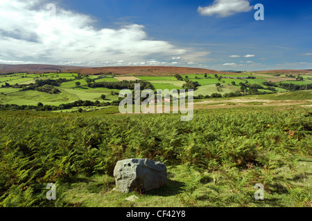 Guardando attraverso Commondale Moor verso distante heather-placcati colline. Foto Stock