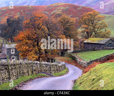 Vista lungo un tortuoso viottolo di campagna verso la Cumbria remoto villaggio di Martindale nel distretto del lago. Foto Stock