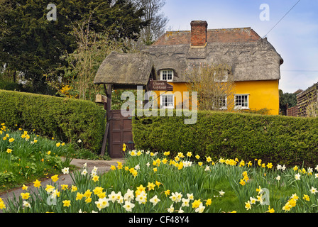 Church Cottage nel villaggio di Elmdon nel quartiere Uttlesford di Essex, Inghilterra, vicino al confine con il Cambridgeshire e Foto Stock