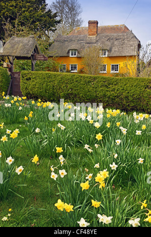 Church Cottage nel villaggio di Elmdon nel quartiere Uttlesford di Essex, Inghilterra, vicino al confine con il Cambridgeshire e Foto Stock