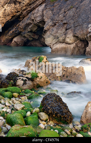 Mare moto vorticoso in ed intorno a rocce nel foro di scale, una relativamente nuova cove che è la formazione di appena a ovest di Lulworth Cove nel Dorse Foto Stock