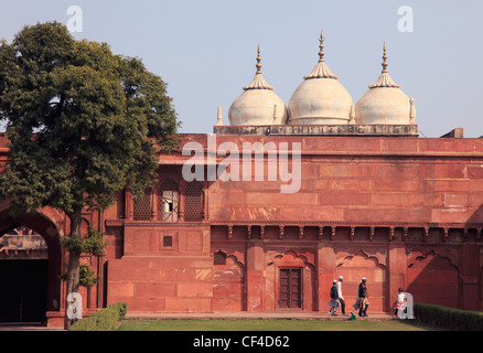 India, Uttar Pradesh, Agra, Fort, Moti Masjid, perla moschea, Foto Stock