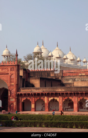 India, Uttar Pradesh, Agra, Fort, Moti Masjid, perla moschea, Foto Stock