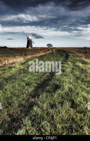 Una pista in erba che conduce al mulino Muttons sul Halvergate paludi in Norfolk. Foto Stock