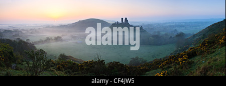 Vista in direzione di Corfe Castle da West Hill in una nebbiosa alba. Foto Stock