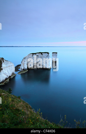 Old Harry Rocks, due chalk mare stack situato al punto di Handfast, sull'Isola di Purbeck a sunrise. Foto Stock