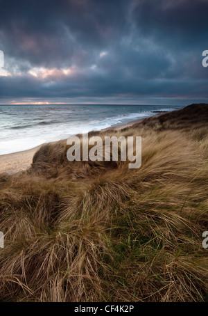 Erba spazzate dal vento dune coperte sulla spiaggia al di sopra di carrello divario sulla costa di Norfolk. Foto Stock